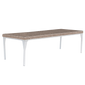 Brafta Dining Table 300x100