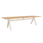 Dining Table 300×100