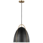 Norman One Light Pendant in Satin Brass with Matte Black