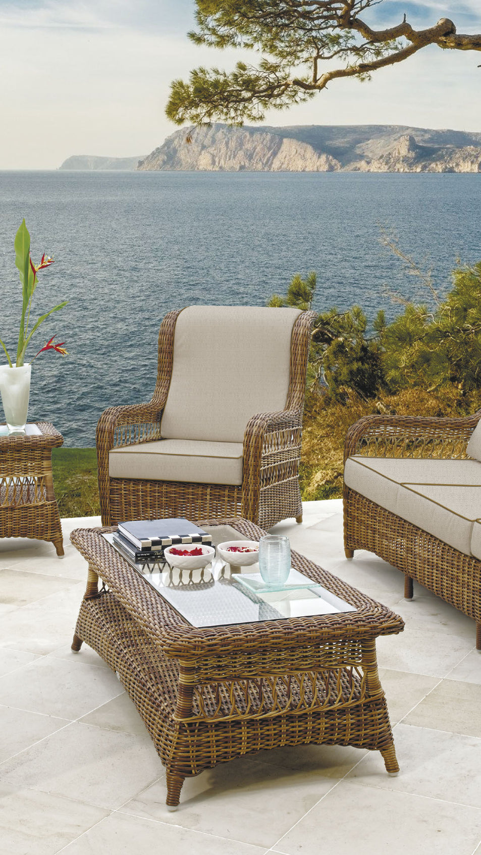 Ebony Coffee Table