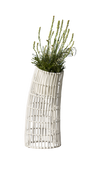 Циклон великий