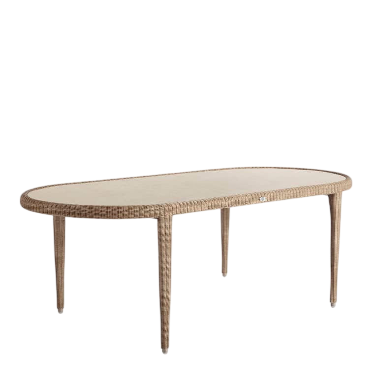 Arena Dining Table 220x100