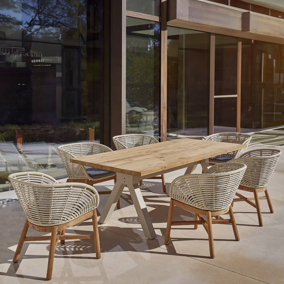 Dining Armchair