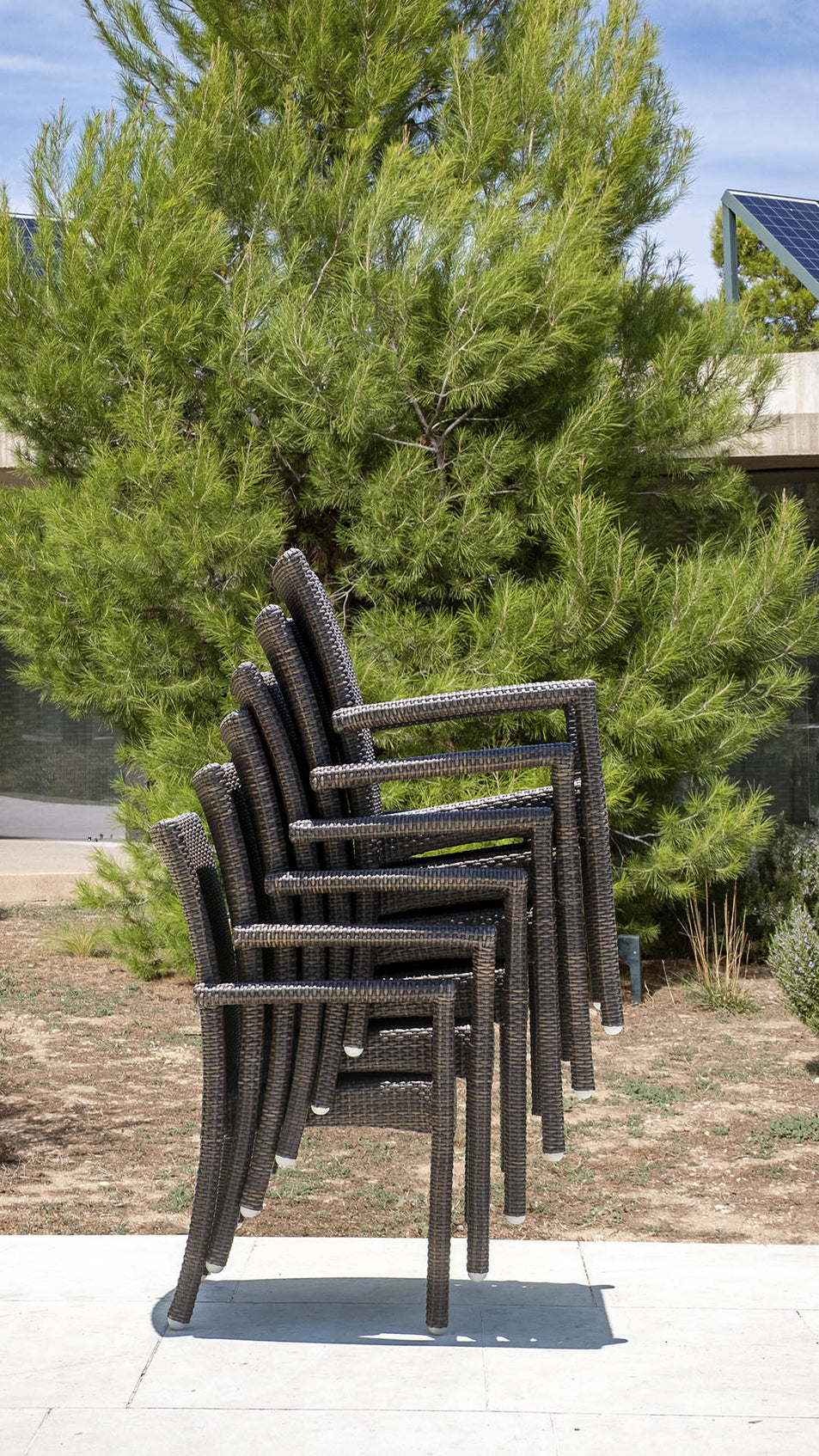 Ria Dining Armchair