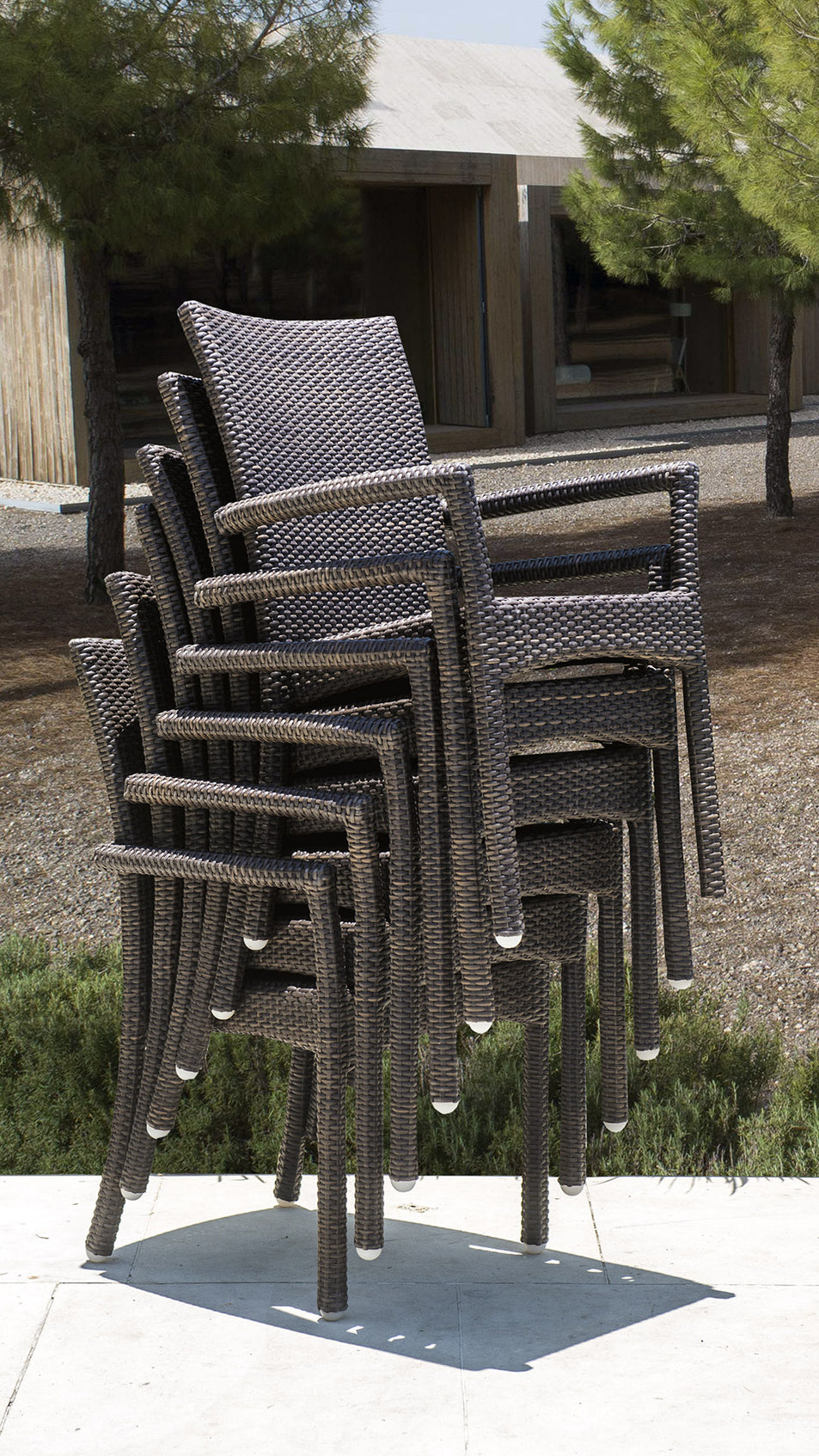 Ria Dining Armchair