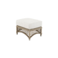 Arena Ottoman