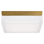 Natural Brass