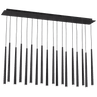 Nightshade Black