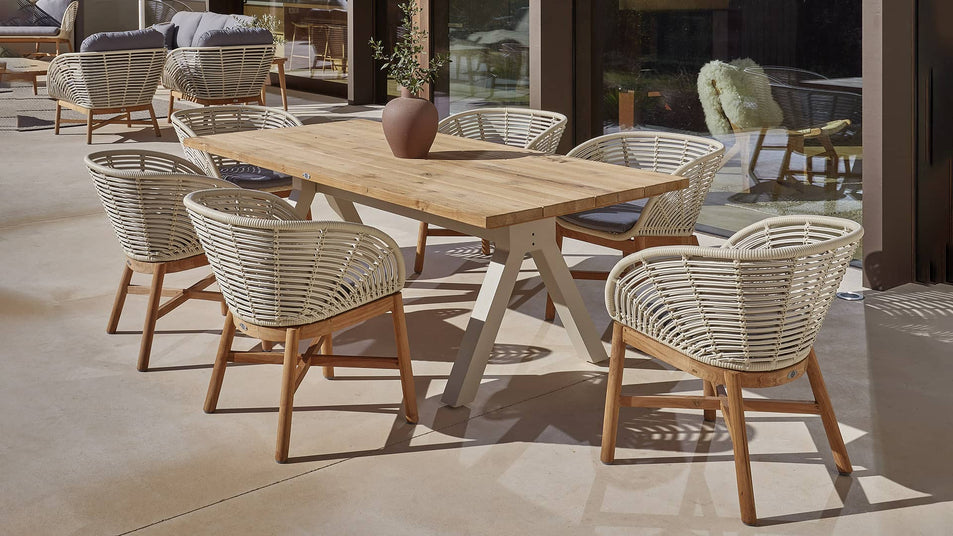 Dining Armchair
