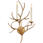 Branch Sconce in Gilded Iron
