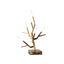 Light Gold / Сатиновий дифузор із оргскла