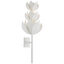 Plaster White