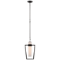 Presidio Petite Caged Pendant, a premium Pendant light by Visual Comfort & Co. Close - up image of its design.