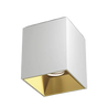 White and Gold