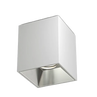 White and Chrome