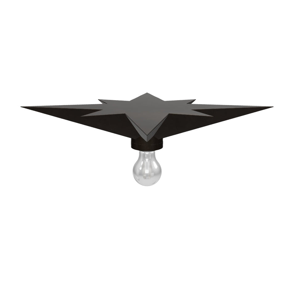 Star Flush Mount 3D Model