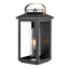 Black / Clear Seedy Glass