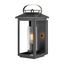 Black / Clear Seedy Glass
