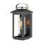 Black / Clear Seedy Glass
