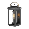 Black / Clear Seedy Glass