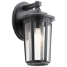 Black / Clear Seedy Glass