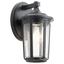 Black / Clear Seedy Glass