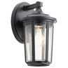 Black / Clear Seedy Glass