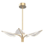 Natural Brass