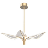 Natural Brass