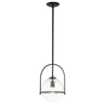 Black / Clear Seedy Glass