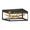 Black & Gilded Gold