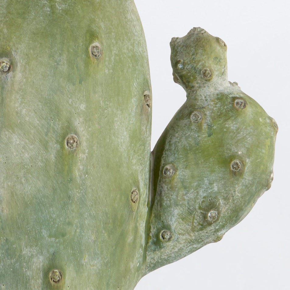 Настільна лампа Cactus 1 лт